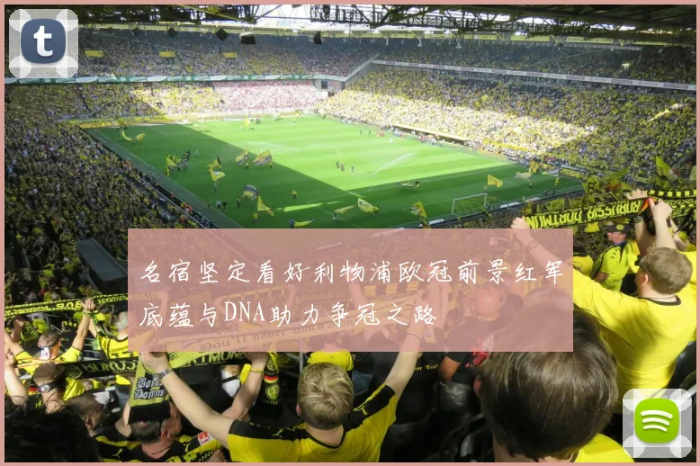 名宿坚定看好利物浦欧冠前景红军底蕴与DNA助力争冠之路